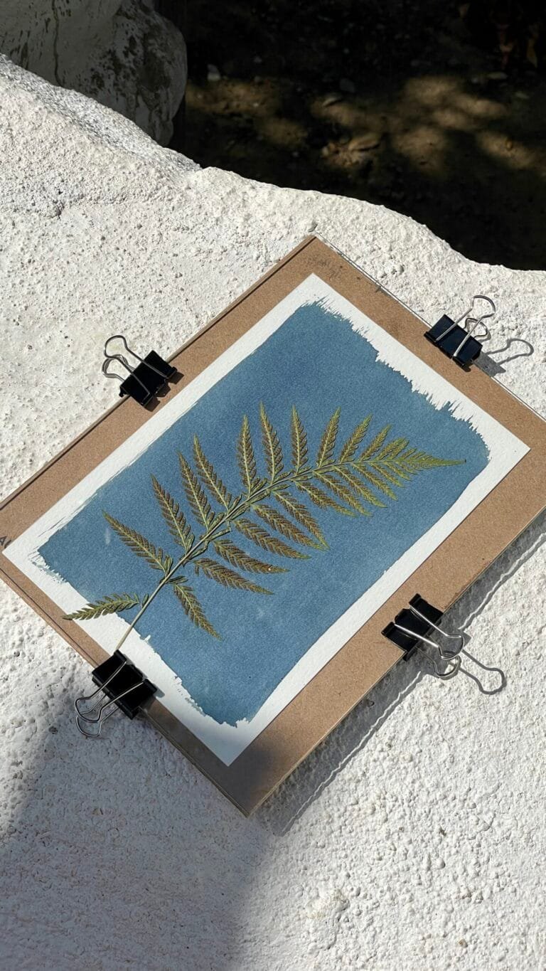 Kit Iniciación a la Cianotipia