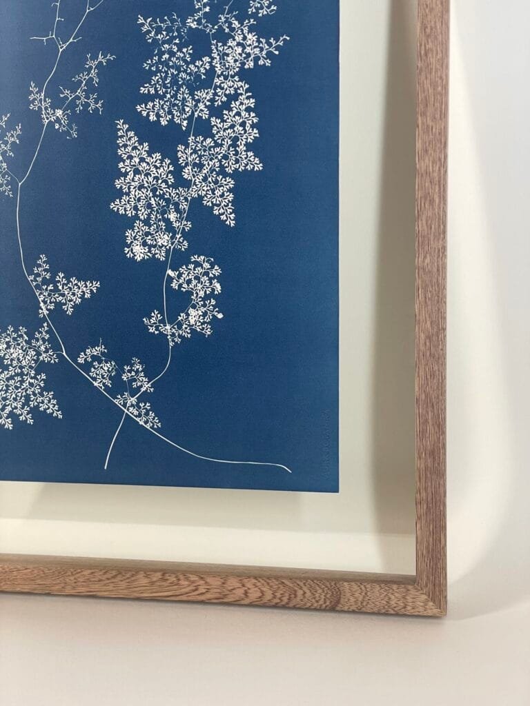 Encaje del Bosque · Doble carta enmarcada