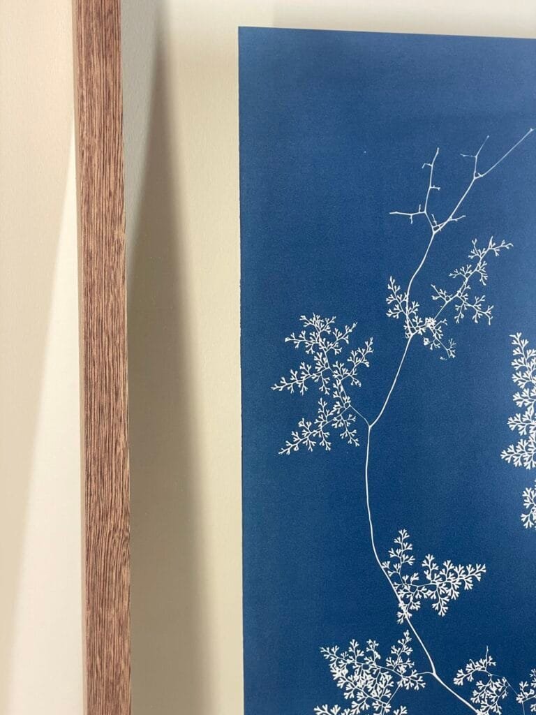 Encaje del Bosque · Doble carta enmarcada