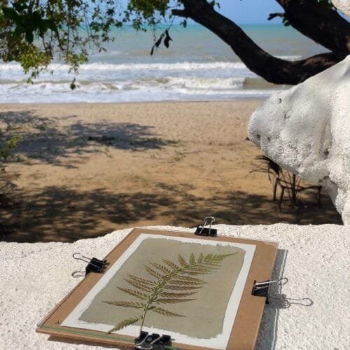 Kit Iniciación a la Cianotipia