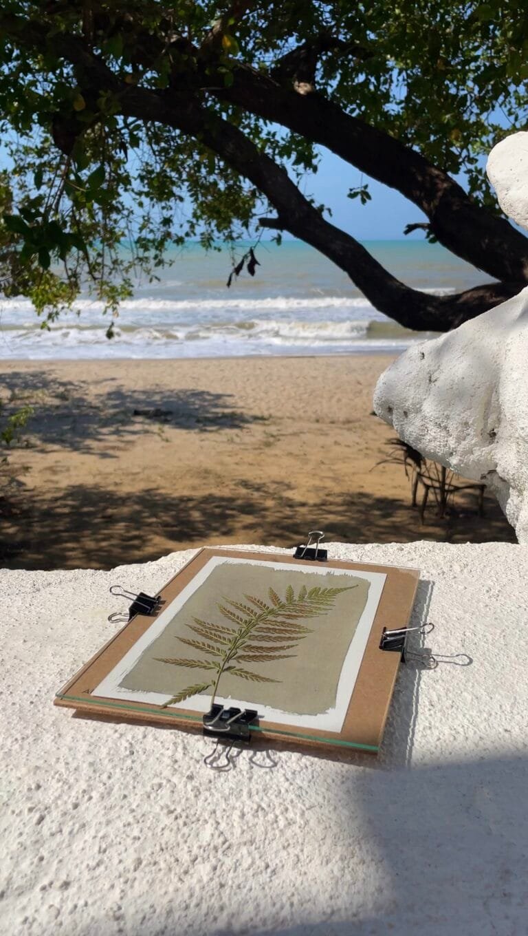 Kit Iniciación a la Cianotipia