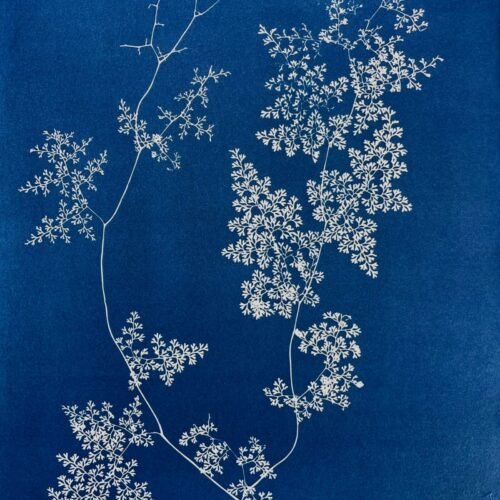 Encaje del Bosque · Doble carta enmarcada