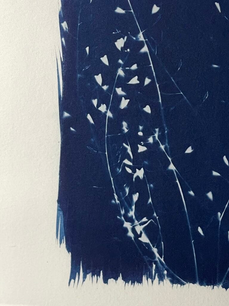 Noche estrellada · Carta enmarcada