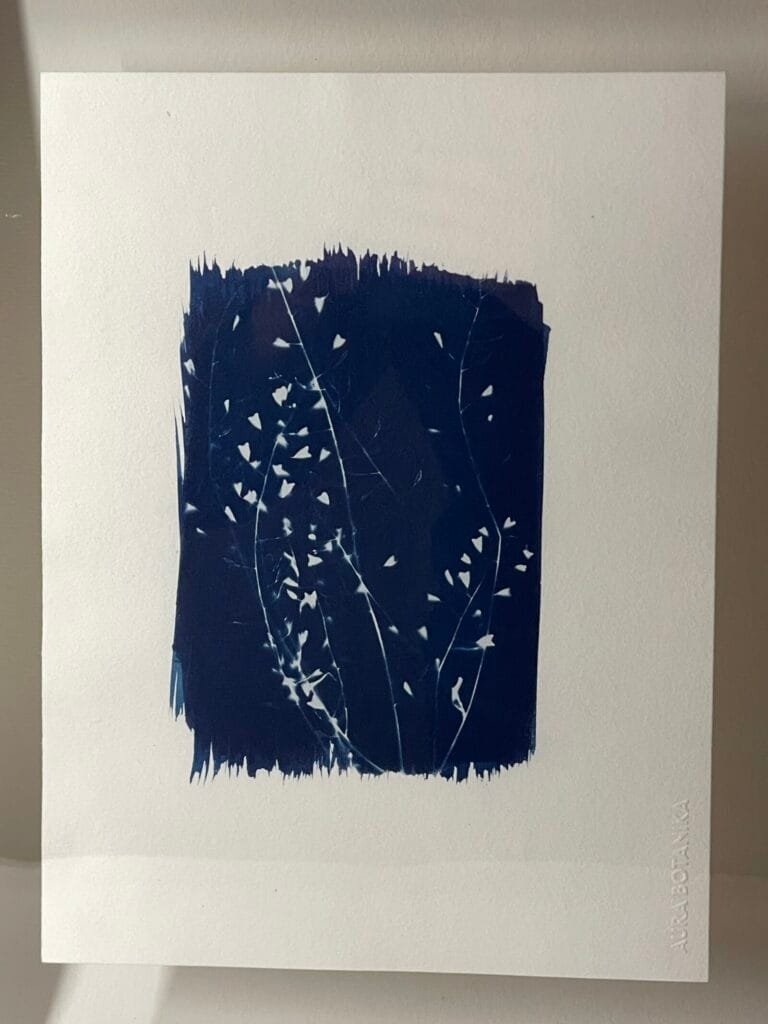 Noche estrellada · Carta enmarcada