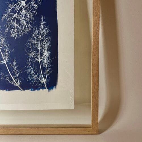 IMG_6127 Hinojos · Doble carta enmarcada