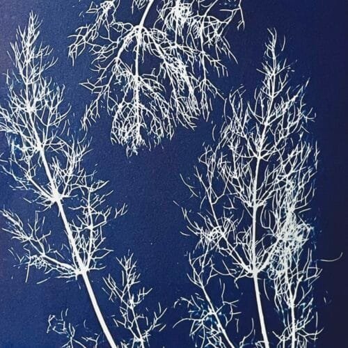 IMG_6131 Hinojos · Doble carta enmarcada