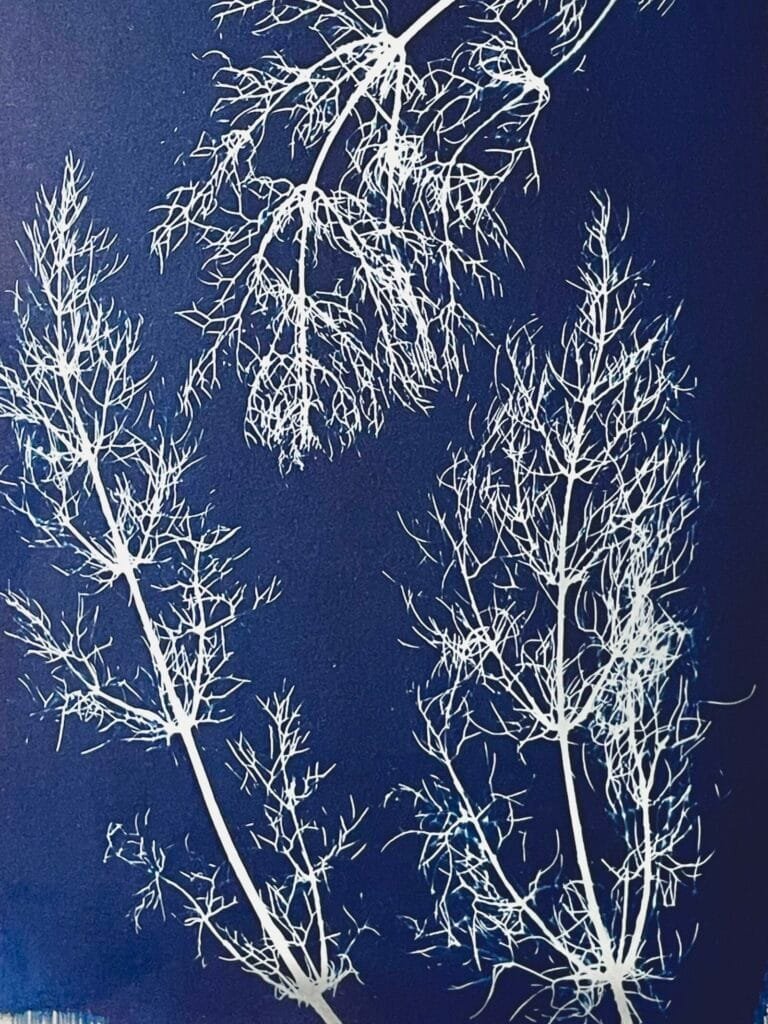 IMG_6131 Hinojos · Doble carta enmarcada