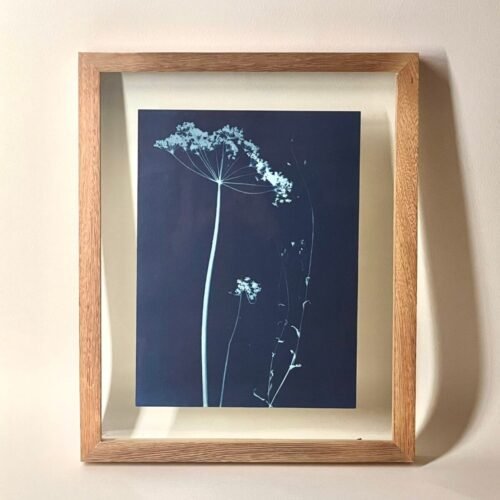 IMG_6143 Sombrilla · Carta enmarcada