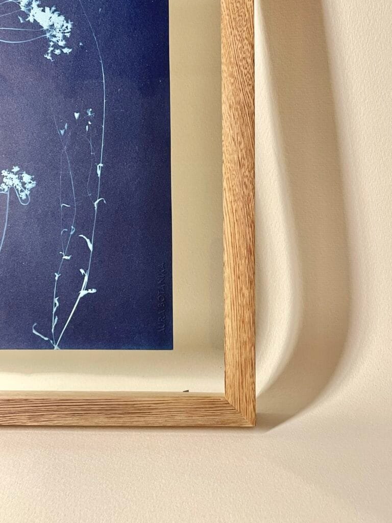 IMG_6144 Sombrilla · Carta enmarcada