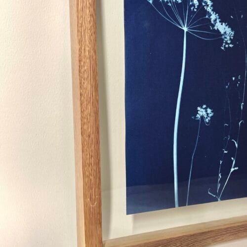 IMG_6146 Sombrilla · Carta enmarcada