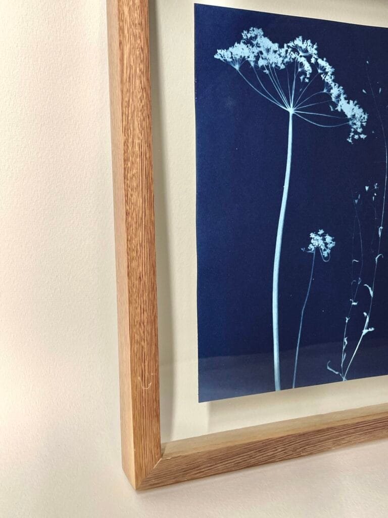 IMG_6146 Sombrilla · Carta enmarcada