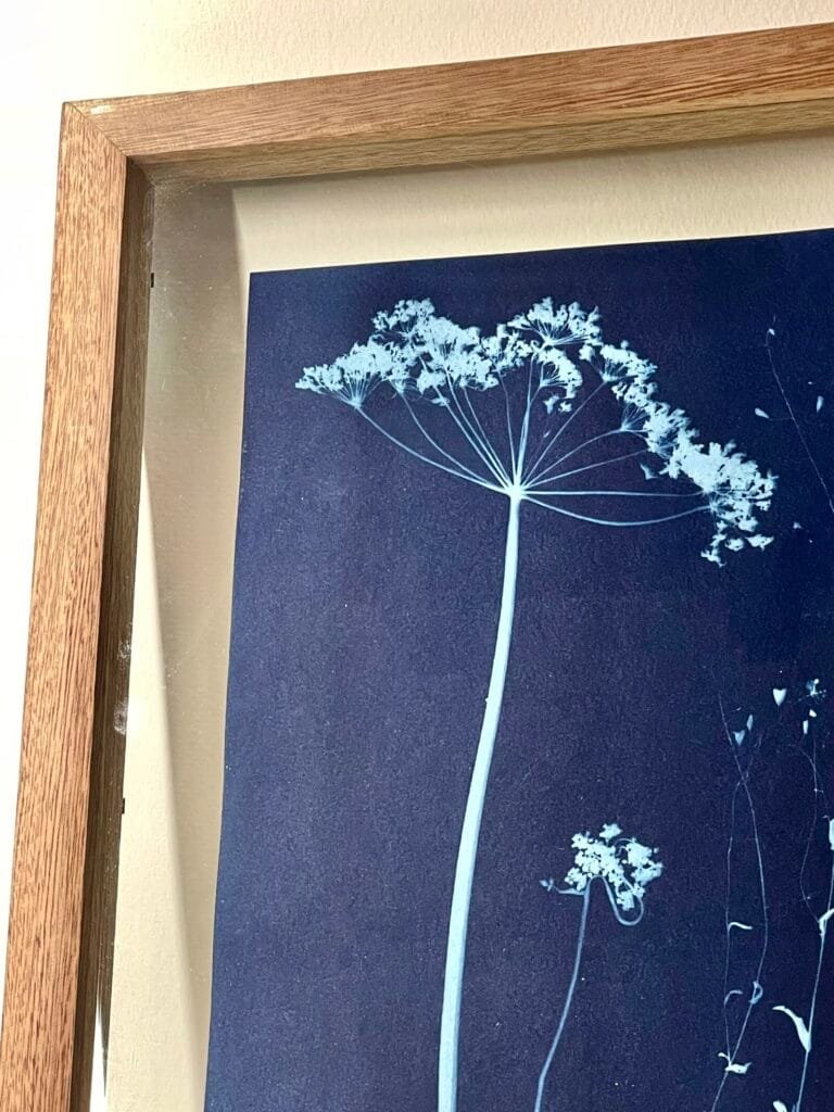 IMG_6150 Sombrilla · Carta enmarcada