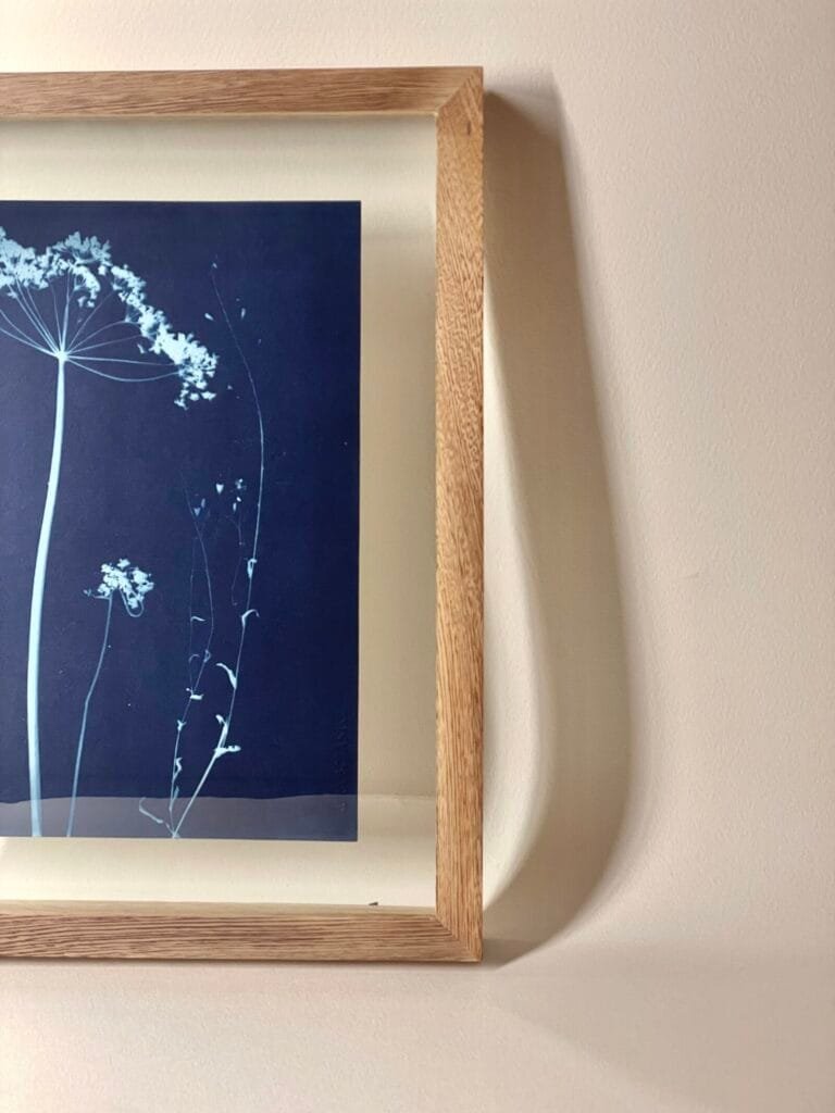 IMG_6155 Sombrilla · Carta enmarcada