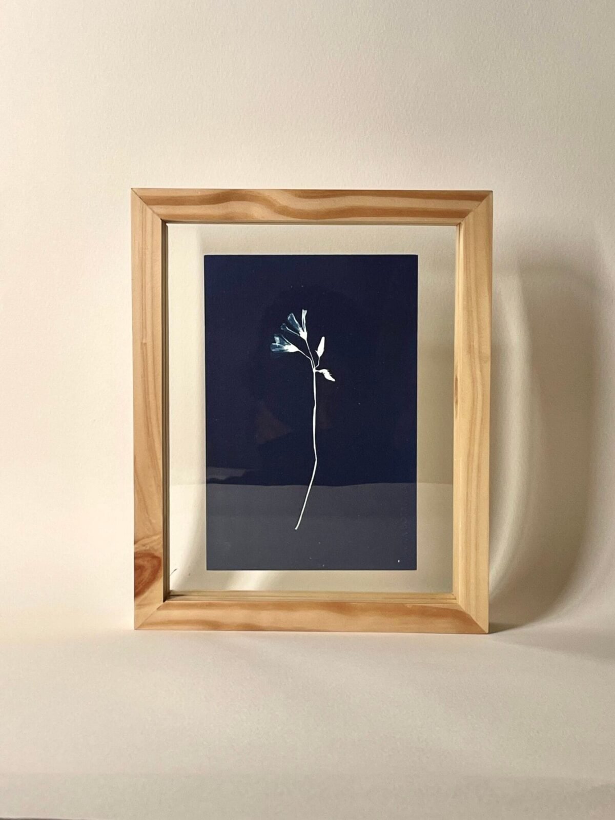 IMG_6157 Oxalis · Media carta enmarcada