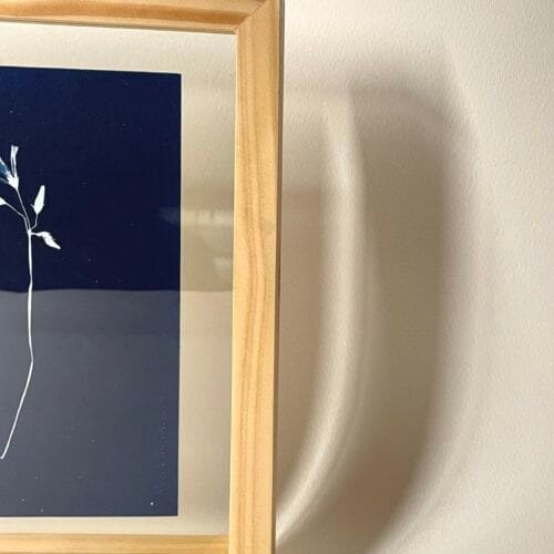 Oxalis · Media carta enmarcada