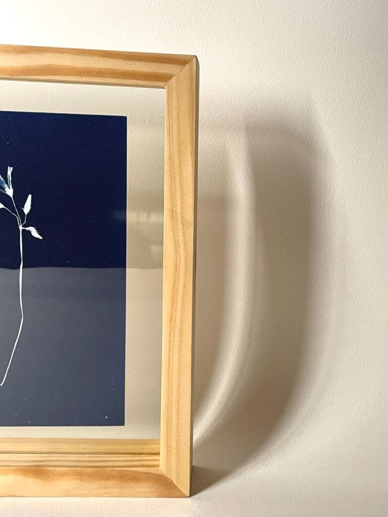 Oxalis · Media carta enmarcada