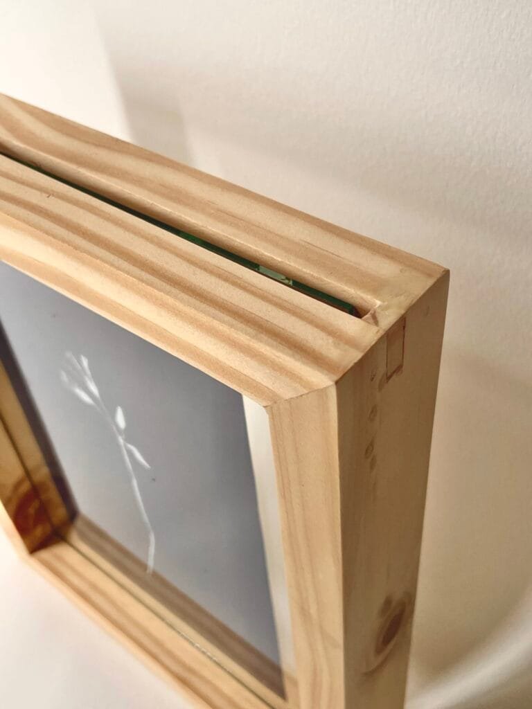 Oxalis · Media carta enmarcada