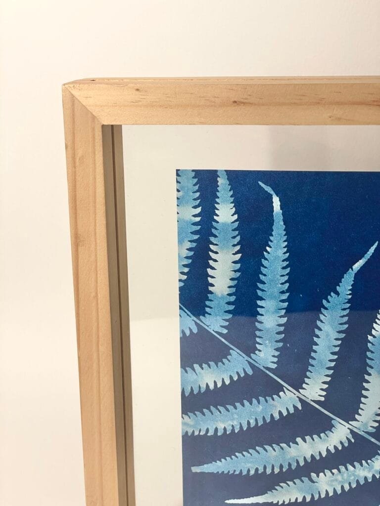 Helecho · Media carta enmarcada