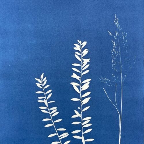 Bosque soleado · Doble carta