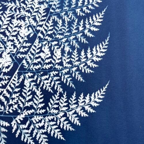 IMG_6440 Helecho · Doble carta