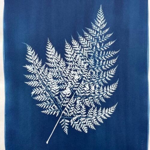 IMG_6442 Helecho · Doble carta