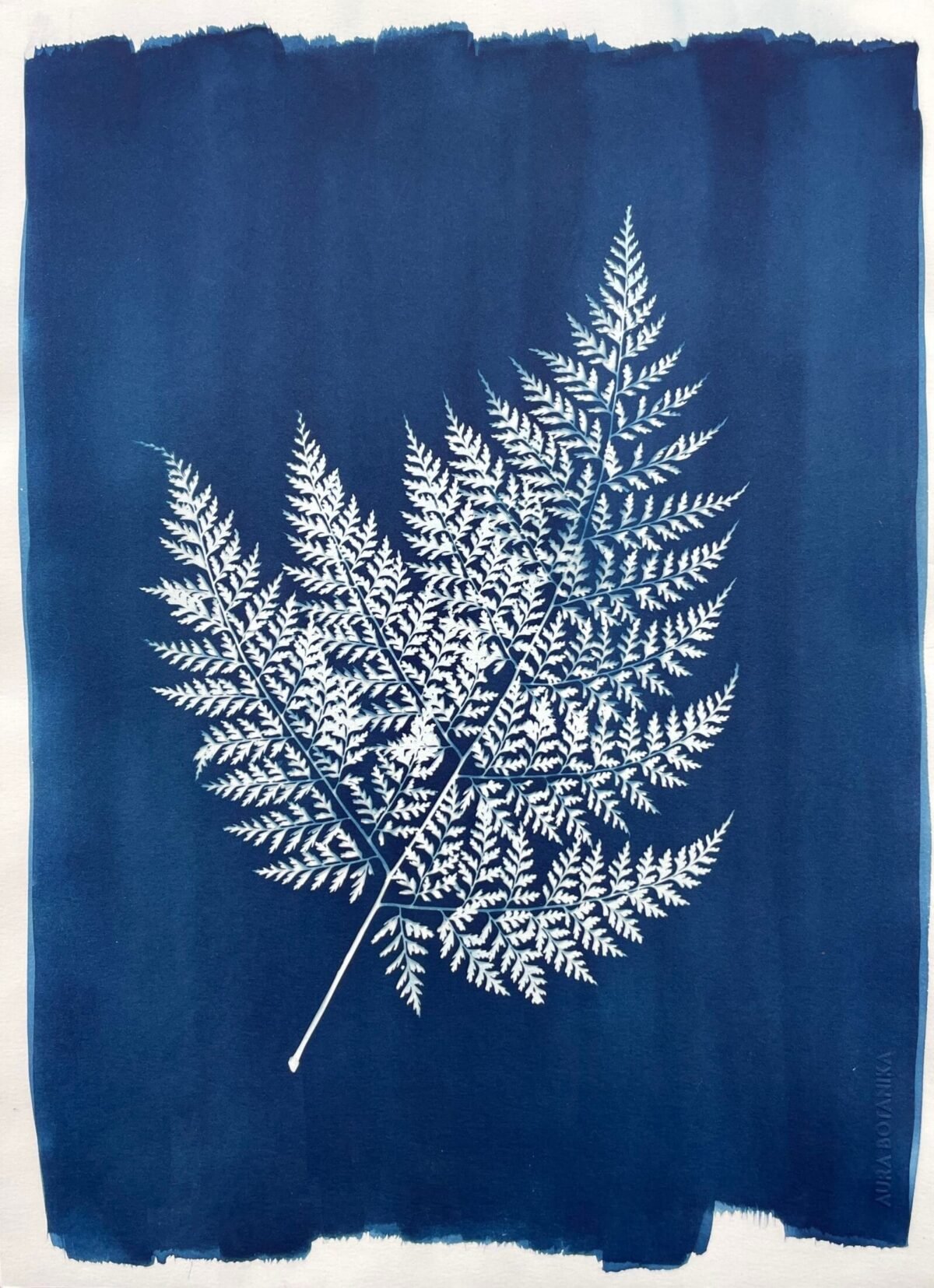 Helecho · Doble carta