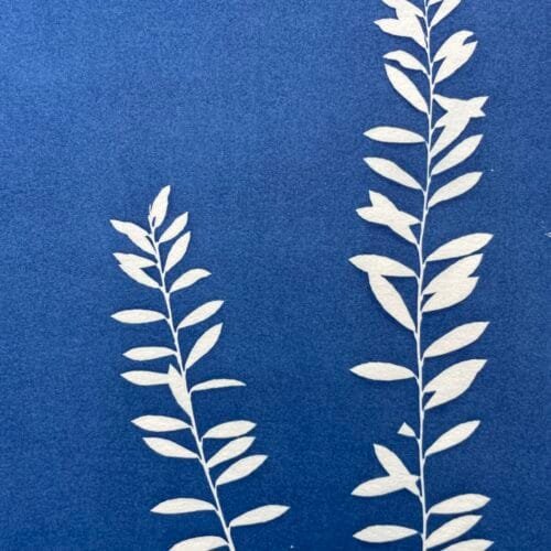 Bosque soleado · Doble carta