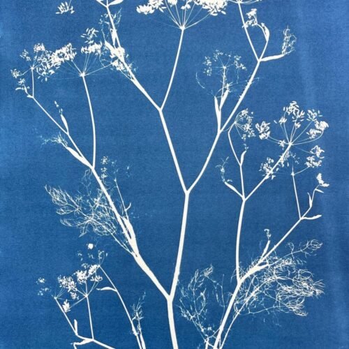 IMG_6445 Arborescencia · Doble carta