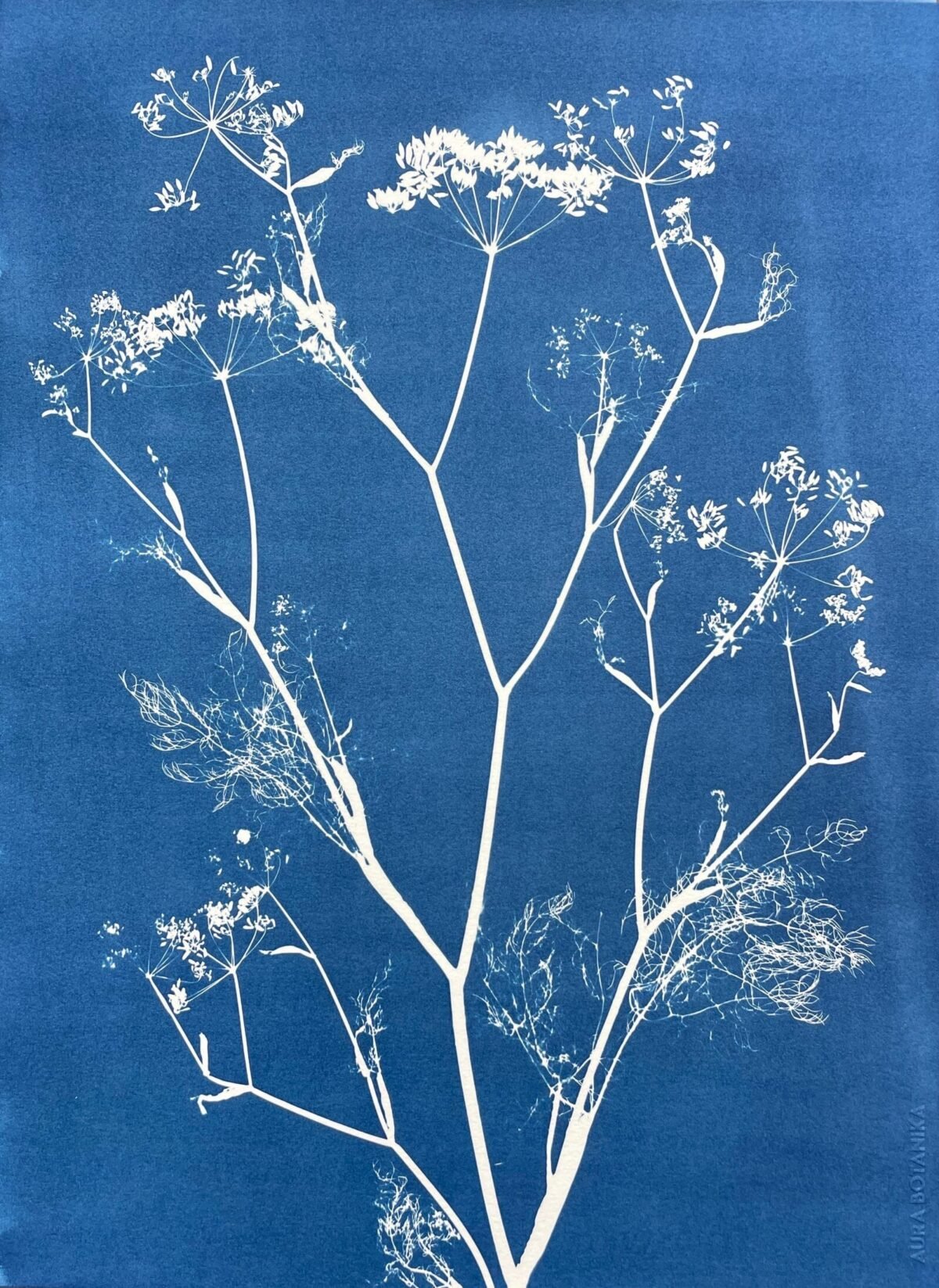 Arborescencia · Doble carta