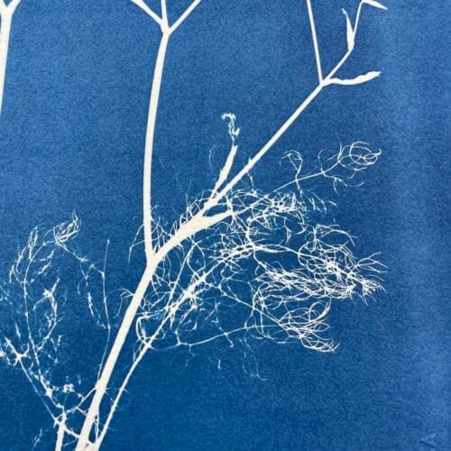 IMG_6446 Arborescencia · Doble carta