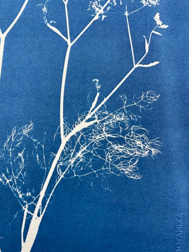 IMG_6446 Arborescencia · Doble carta