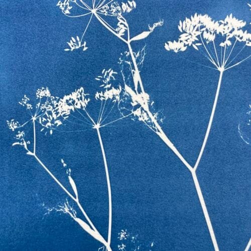 IMG_6447 Arborescencia · Doble carta