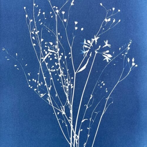 IMG_6448 Merci · Doble carta