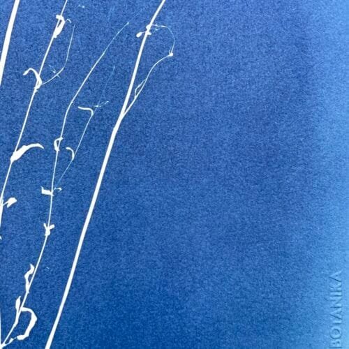 IMG_6449 Merci · Doble carta