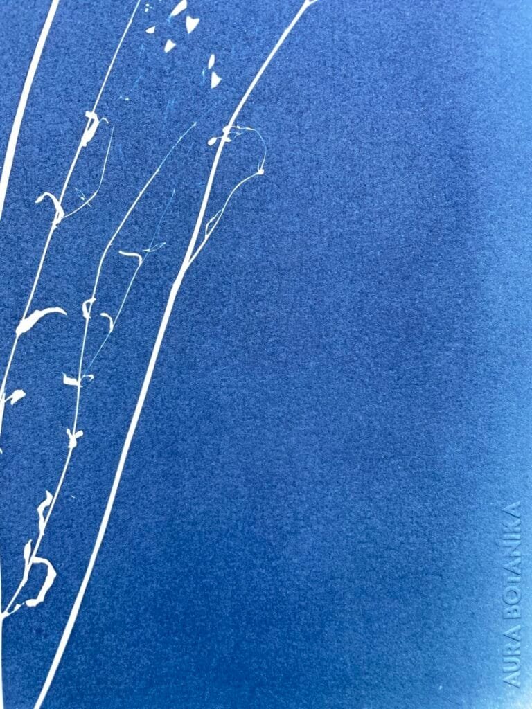 IMG_6449 Merci · Doble carta