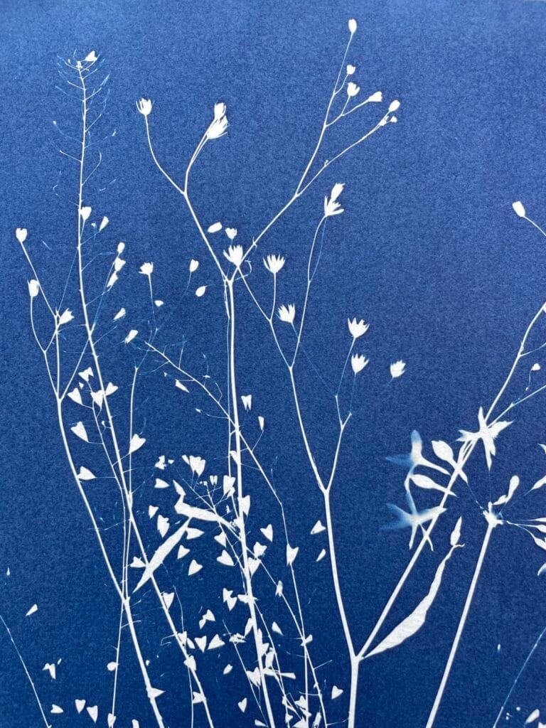 IMG_6450 Merci · Doble carta