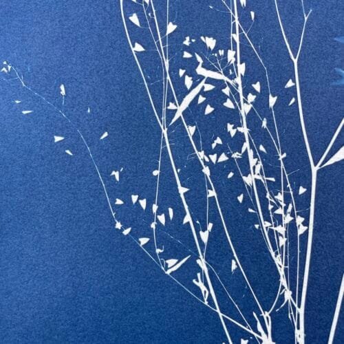 IMG_6451 Merci · Doble carta