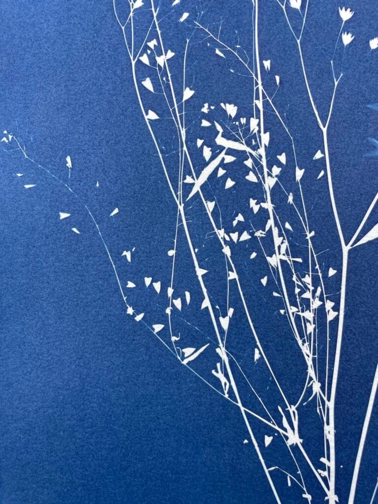 IMG_6451 Merci · Doble carta