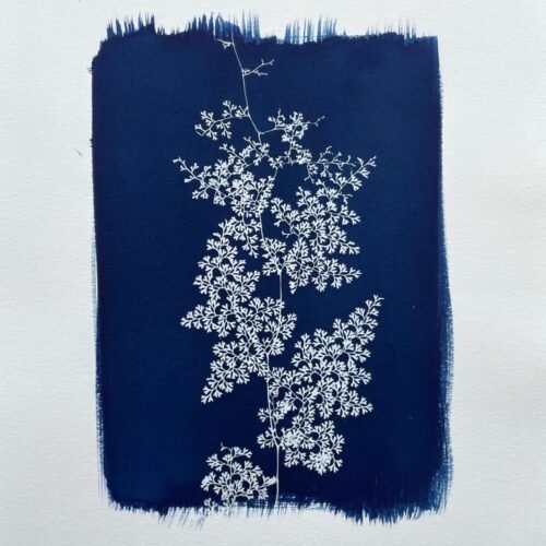 IMG_6455 Helecho encaje · Doble carta