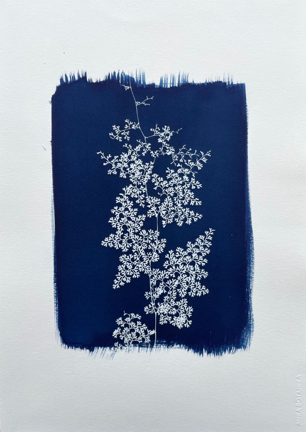 Helecho encaje · Doble carta