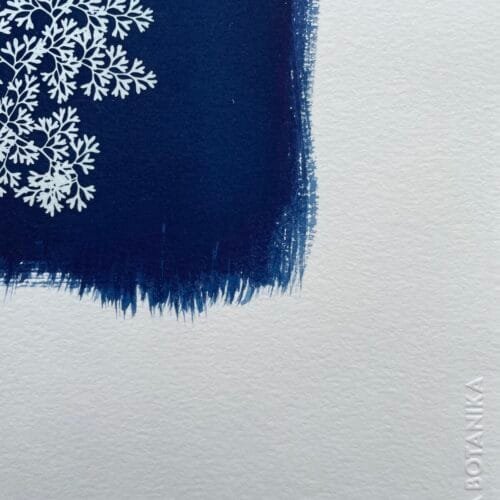 IMG_6456 Helecho encaje · Doble carta