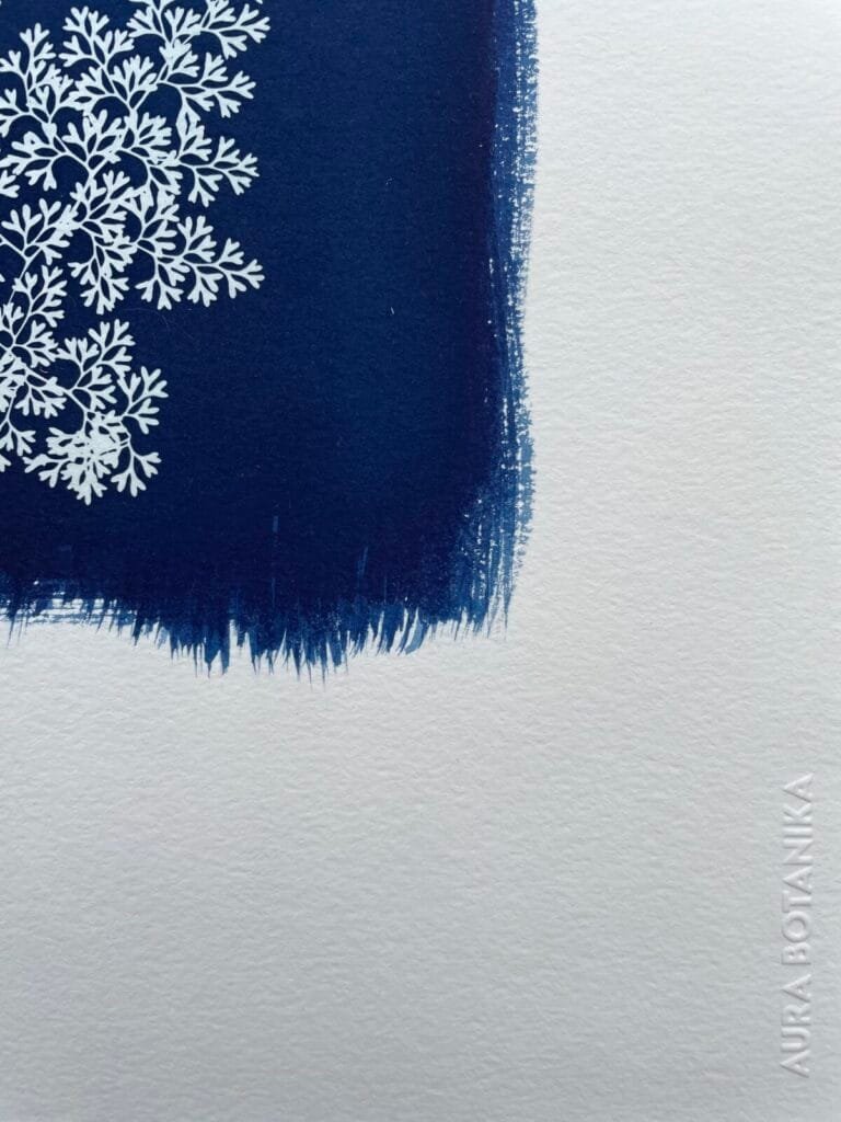 IMG_6456 Helecho encaje · Doble carta