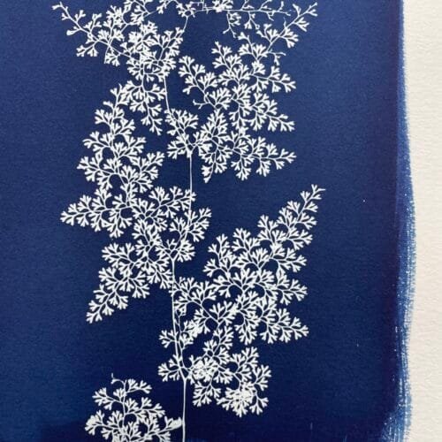 IMG_6457 Helecho encaje · Doble carta