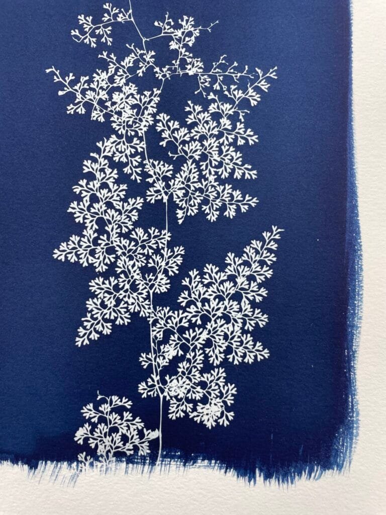 IMG_6457 Helecho encaje · Doble carta