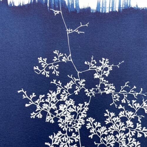 IMG_6458 Helecho encaje · Doble carta