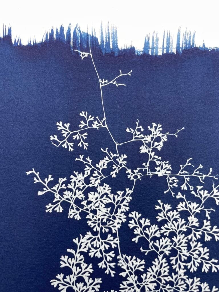 IMG_6458 Helecho encaje · Doble carta