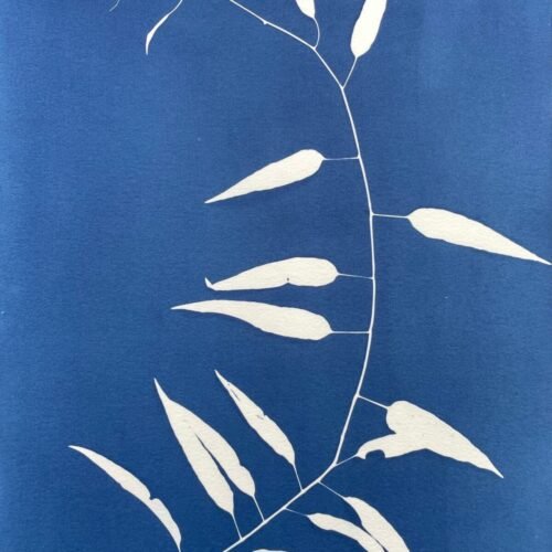 Bambú silvestre · Doble carta