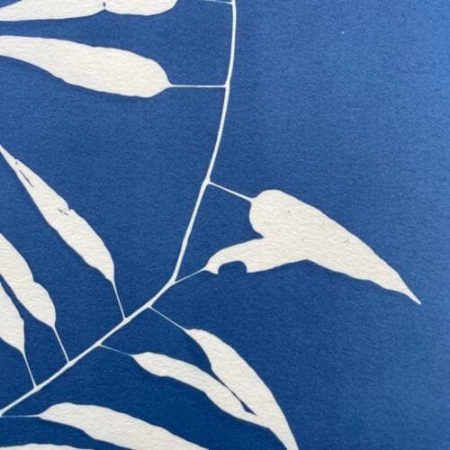 Bambú silvestre · Doble carta