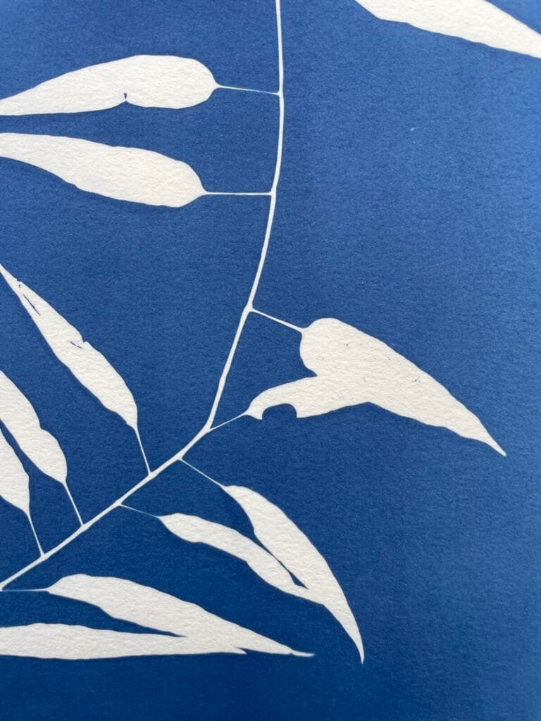 Bambú silvestre · Doble carta