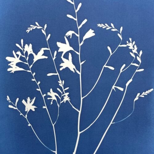 Crocosmia · Doble carta